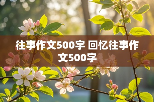 往事作文500字 回忆往事作文500字