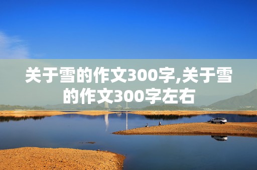 关于雪的作文300字,关于雪的作文300字左右