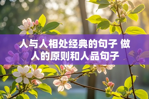 人与人相处经典的句子 做人的原则和人品句子