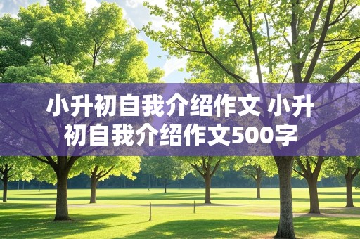 小升初自我介绍作文 小升初自我介绍作文500字