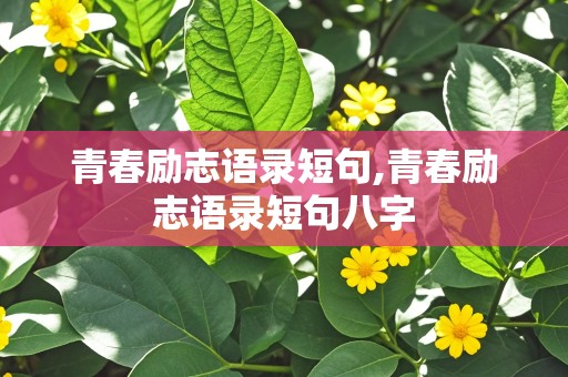 青春励志语录短句,青春励志语录短句八字