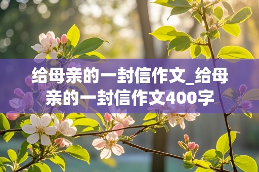 给母亲的一封信作文_给母亲的一封信作文400字