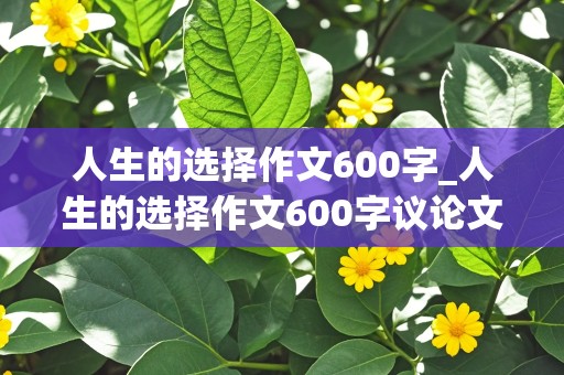 人生的选择作文600字_人生的选择作文600字议论文