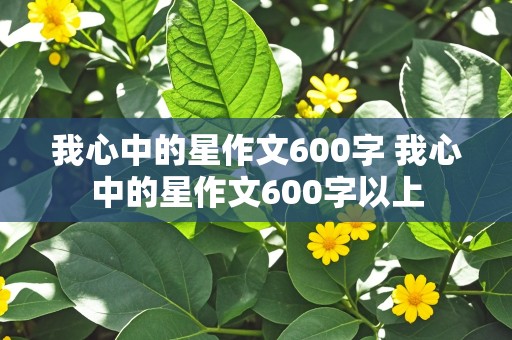 我心中的星作文600字 我心中的星作文600字以上