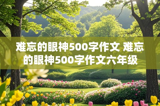 难忘的眼神500字作文 难忘的眼神500字作文六年级