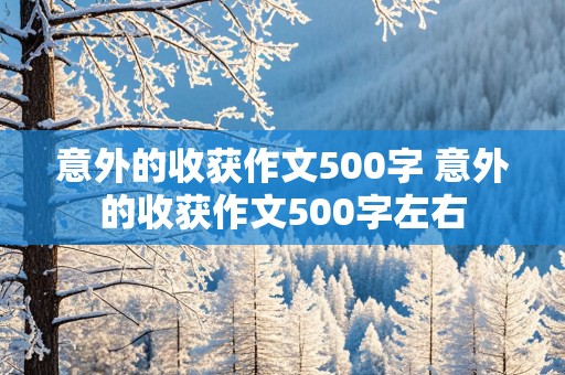 意外的收获作文500字 意外的收获作文500字左右