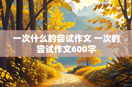 一次什么的尝试作文 一次的尝试作文600字