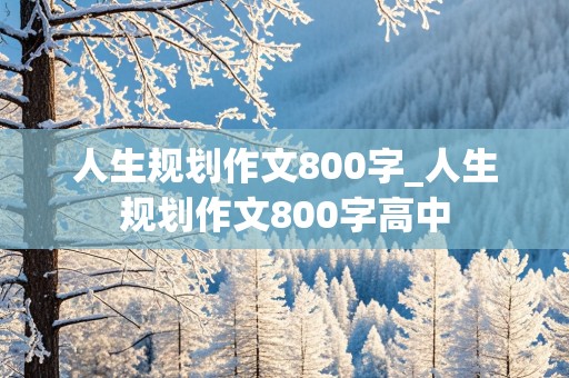 人生规划作文800字_人生规划作文800字高中