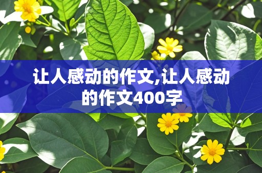 让人感动的作文,让人感动的作文400字