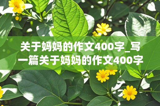 关于妈妈的作文400字_写一篇关于妈妈的作文400字