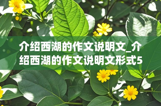 介绍西湖的作文说明文_介绍西湖的作文说明文形式500字左右