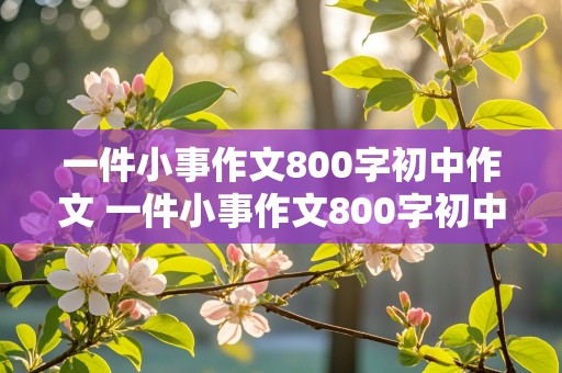 一件小事作文800字初中作文 一件小事作文800字初中作文诚信