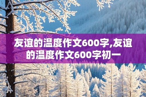 友谊的温度作文600字,友谊的温度作文600字初一