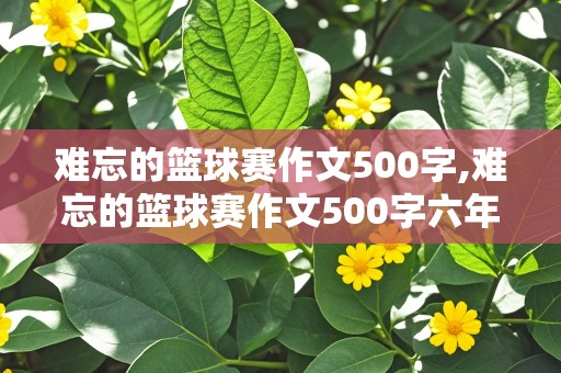 难忘的篮球赛作文500字,难忘的篮球赛作文500字六年级