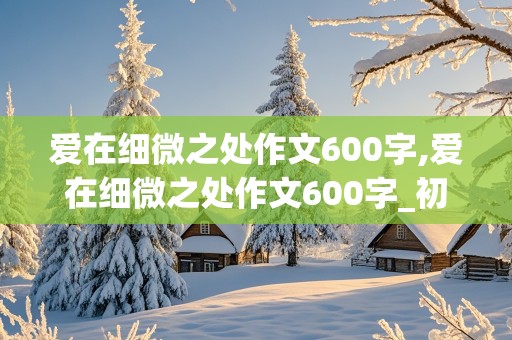 爱在细微之处作文600字,爱在细微之处作文600字_初中作文