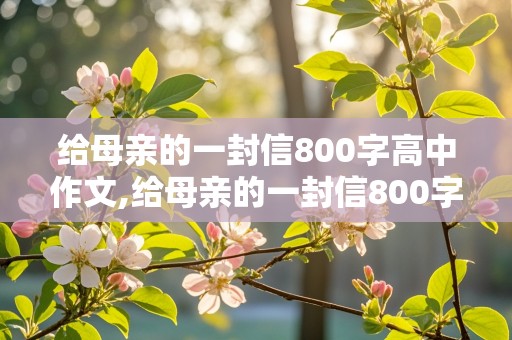 给母亲的一封信800字高中作文,给母亲的一封信800字高中作文高中