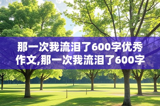 那一次我流泪了600字优秀作文,那一次我流泪了600字优秀作文高中