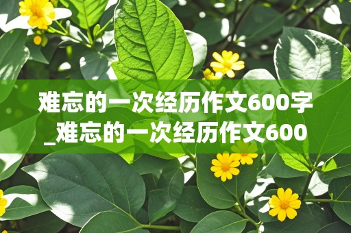 难忘的一次经历作文600字_难忘的一次经历作文600字初中