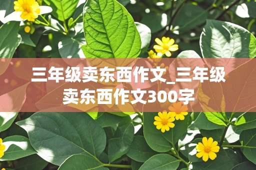 三年级卖东西作文_三年级卖东西作文300字