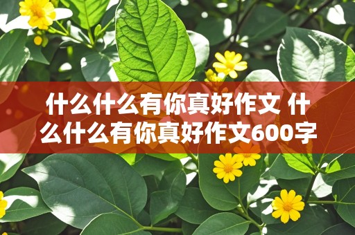 什么什么有你真好作文 什么什么有你真好作文600字