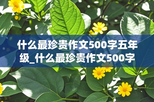 什么最珍贵作文500字五年级_什么最珍贵作文500字五年级上册