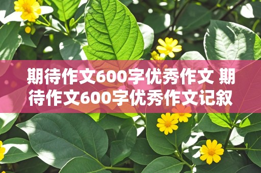 期待作文600字优秀作文 期待作文600字优秀作文记叙文