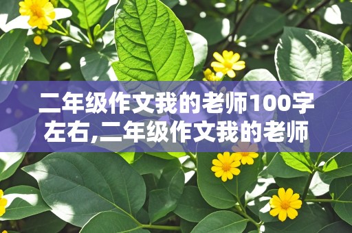 二年级作文我的老师100字左右,二年级作文我的老师100字左右怎么写