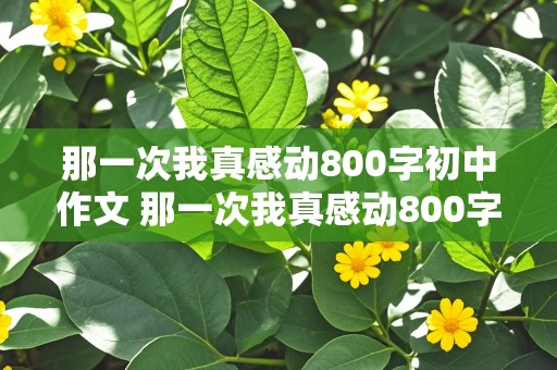 那一次我真感动800字初中作文 那一次我真感动800字初中作文母爱