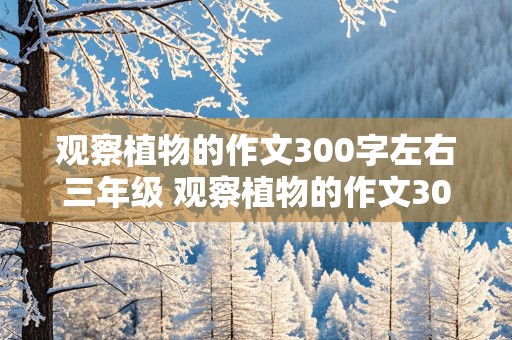 观察植物的作文300字左右三年级 观察植物的作文300字左右三年级带标题