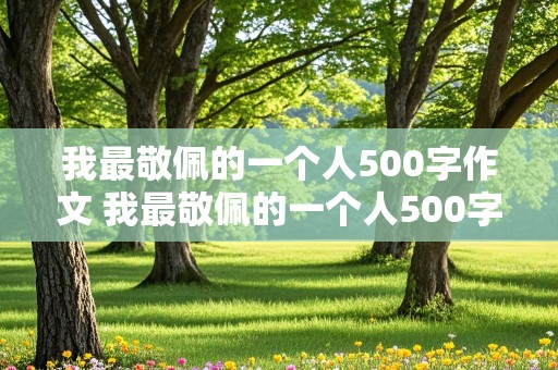 我最敬佩的一个人500字作文 我最敬佩的一个人500字作文清洁工