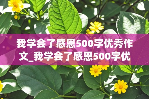 我学会了感恩500字优秀作文_我学会了感恩500字优秀作文四年级