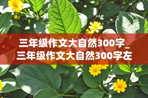 三年级作文大自然300字_三年级作文大自然300字左右