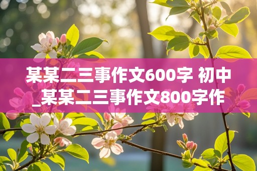 某某二三事作文600字 初中_某某二三事作文800字作文