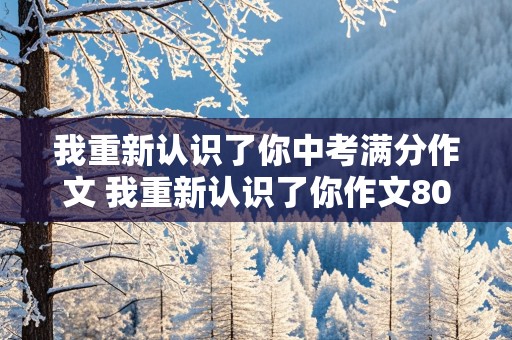 我重新认识了你中考满分作文 我重新认识了你作文800字