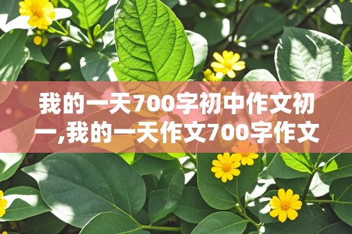 我的一天700字初中作文初一,我的一天作文700字作文初一