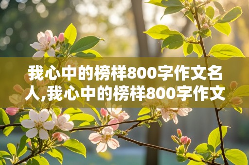 我心中的榜样800字作文名人,我心中的榜样800字作文名人素材