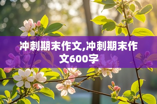 冲刺期末作文,冲刺期末作文600字