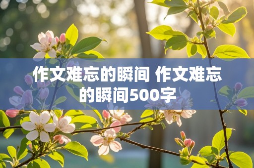 作文难忘的瞬间 作文难忘的瞬间500字