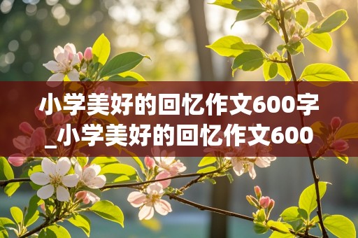 小学美好的回忆作文600字_小学美好的回忆作文600字六年级作文