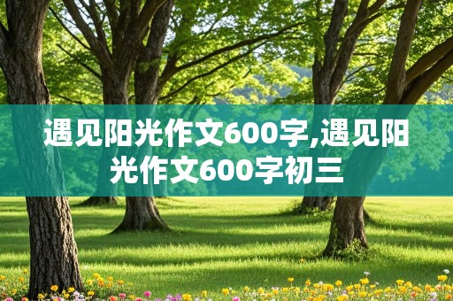 遇见阳光作文600字,遇见阳光作文600字初三