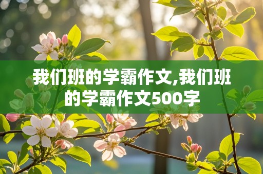 我们班的学霸作文,我们班的学霸作文500字