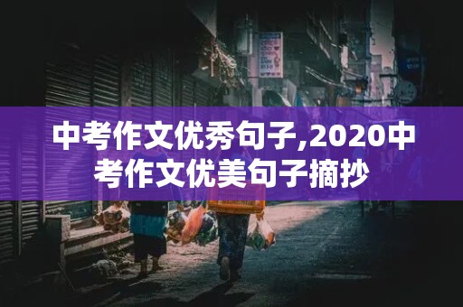 中考作文优秀句子,2020中考作文优美句子摘抄