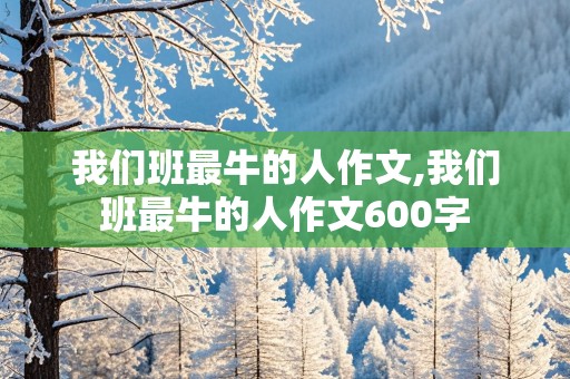 我们班最牛的人作文,我们班最牛的人作文600字