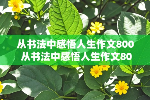 从书法中感悟人生作文800 从书法中感悟人生作文800字