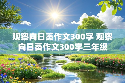 观察向日葵作文300字 观察向日葵作文300字三年级