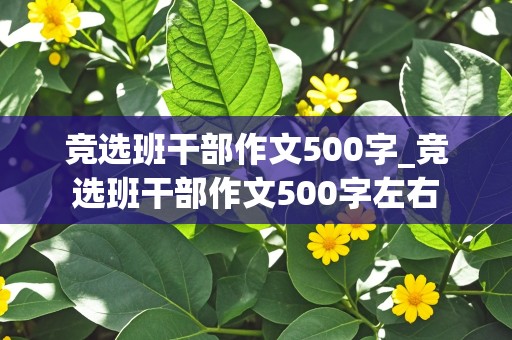 竞选班干部作文500字_竞选班干部作文500字左右