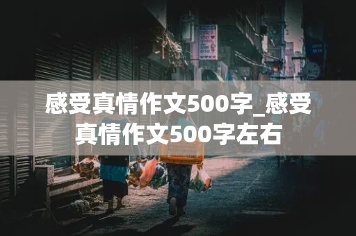 感受真情作文500字_感受真情作文500字左右