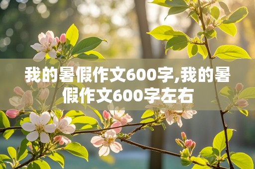 我的暑假作文600字,我的暑假作文600字左右