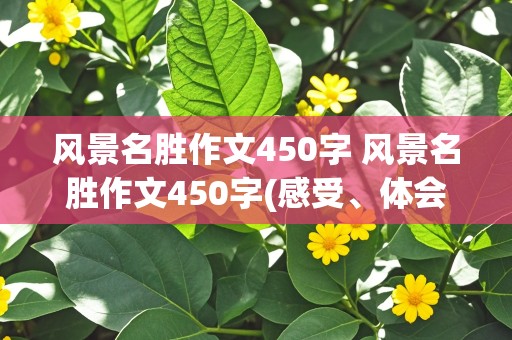 风景名胜作文450字 风景名胜作文450字(感受、体会)