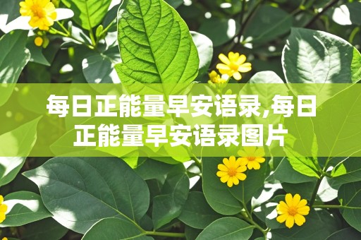 每日正能量早安语录,每日正能量早安语录图片